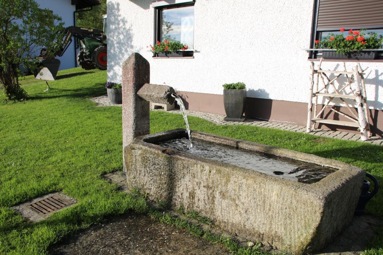 Apartman Mitterdorf Almberg 7 Mitterfirmiansreut Exteriör bild